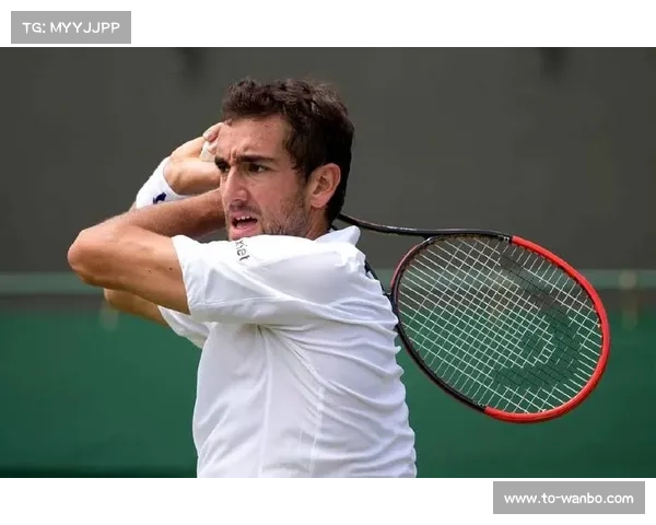 克罗地亚网球老将西里奇复出首战获胜 持外卡晋级温网资格赛 克罗地亚网球老将西里奇复出首战获胜 持外卡晋级温网资格赛